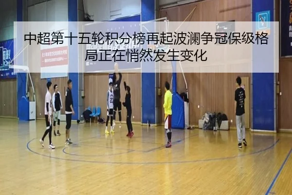 中超第十五轮积分榜再起波澜争冠保级格局正在悄然发生变化